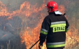Strażacy apelują – Zakaz wypalania traw