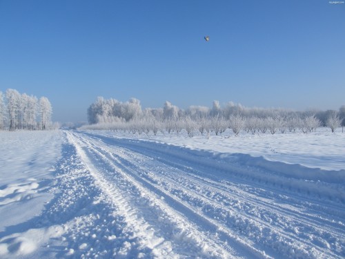 Zimowe utrzymanie dróg w Gminie Gryfów Śląski