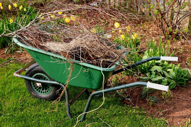 Wiosenne porządki w ogrodzie… Czyli co zrobić z ze skoszoną trawą, gałęziami i innymi odpadami zielonymi?